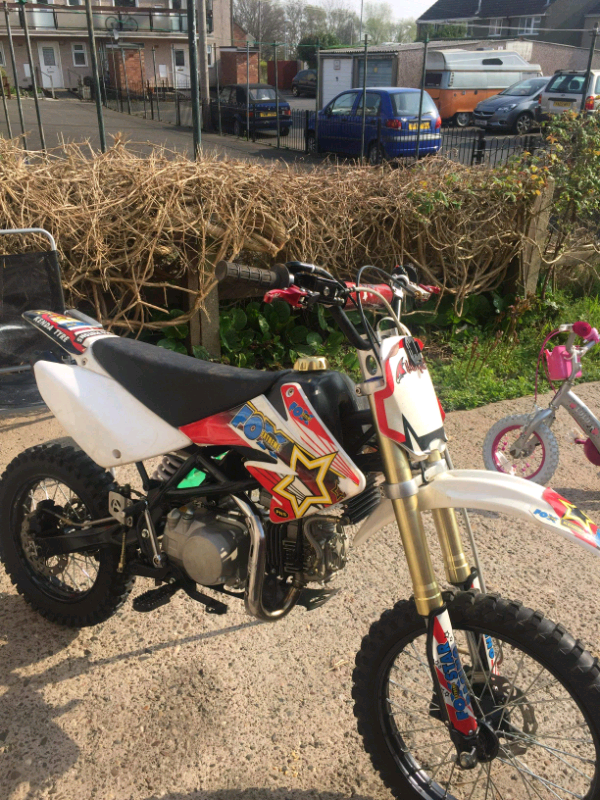 pit bikes for sale gumtree